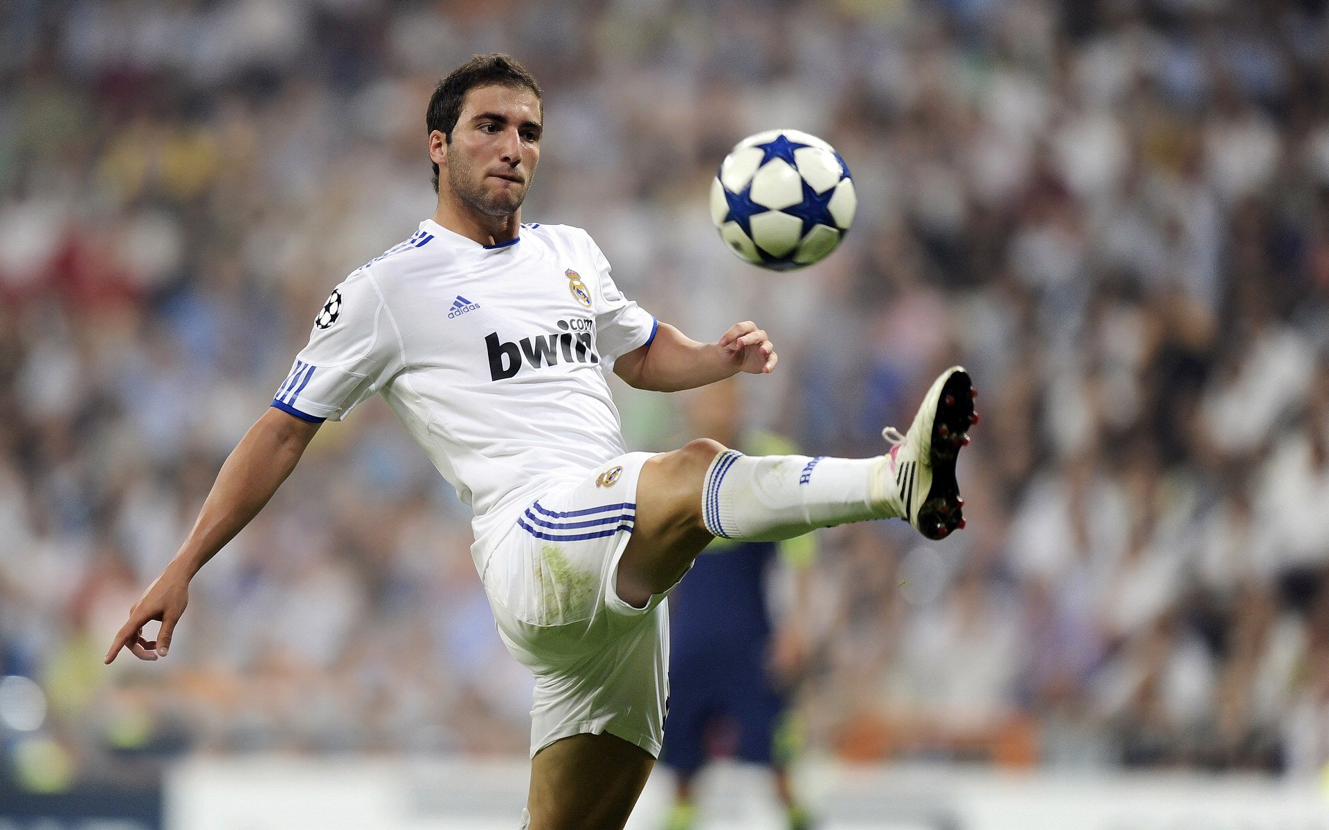 大卫·波波维奇赛后分享备赛心得，大卫波茨杆官网